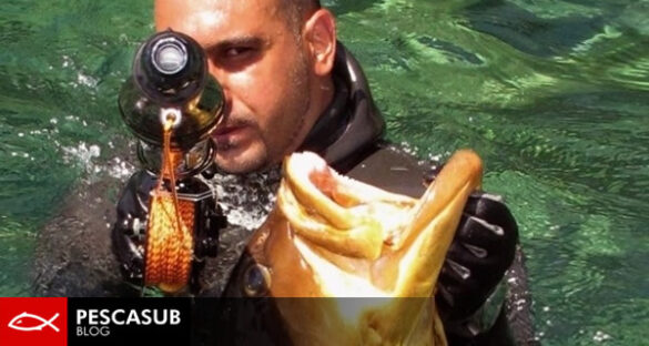 nuovo pneumatico mares