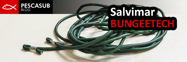 sagola-elastica-salvimar-bungeetech-INTRO