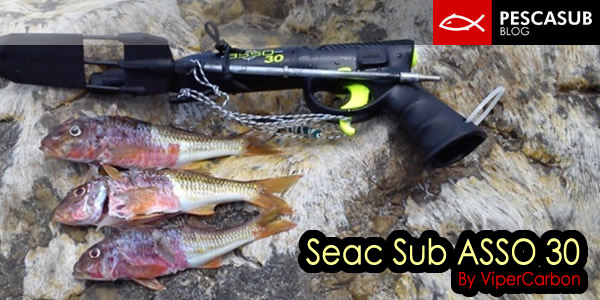 seac sub asso 30